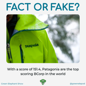 Patagonia the best BCorp