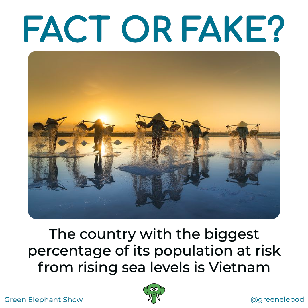 Vietnam at risk from sea level rise
