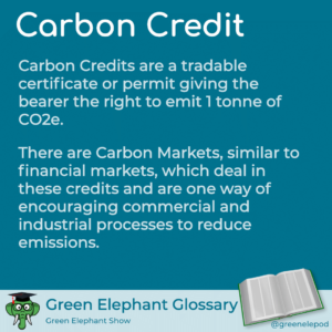 Carbon Credits defined