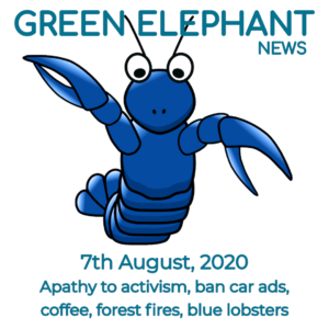 Green Elephant Sustainability News 6th August 2020