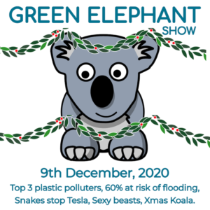 Green Elephant Show No 26 covering the latest sustainability news