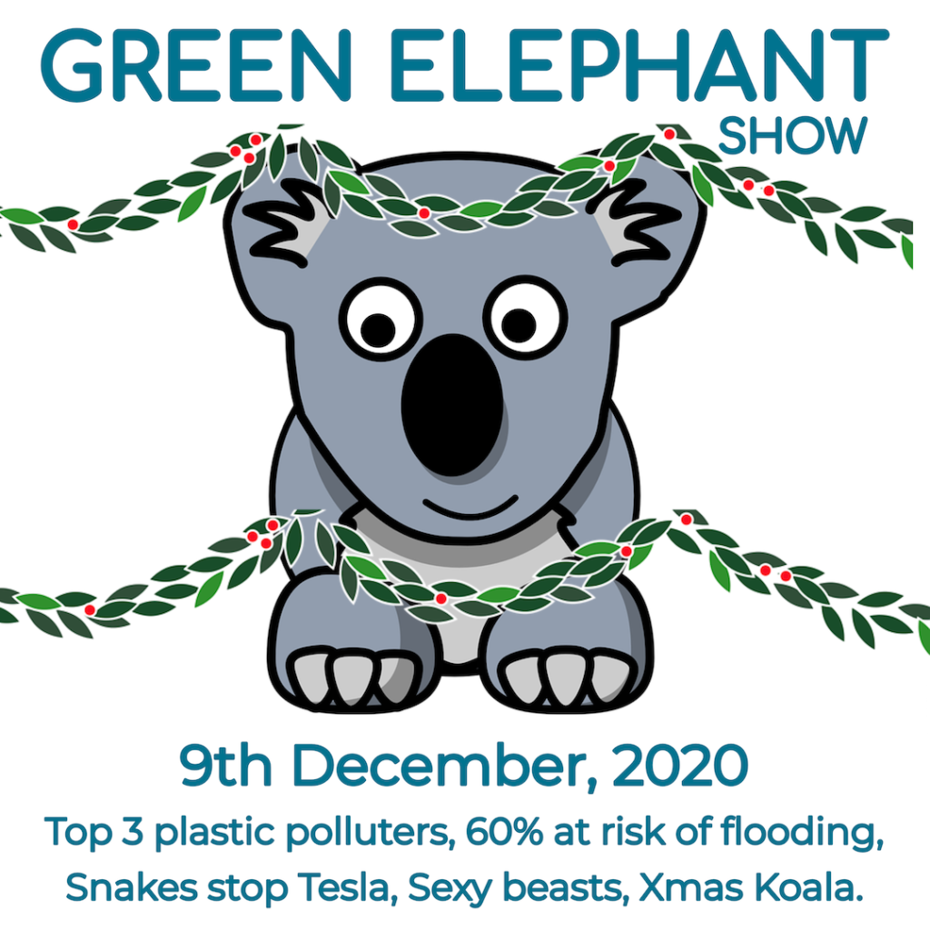Green Elephant Show No 26 covering the latest sustainability news