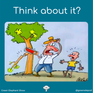 Think about the consequences of tree felling